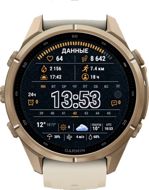 ДАННЫЕ на fēnix 9 Pro 43mm