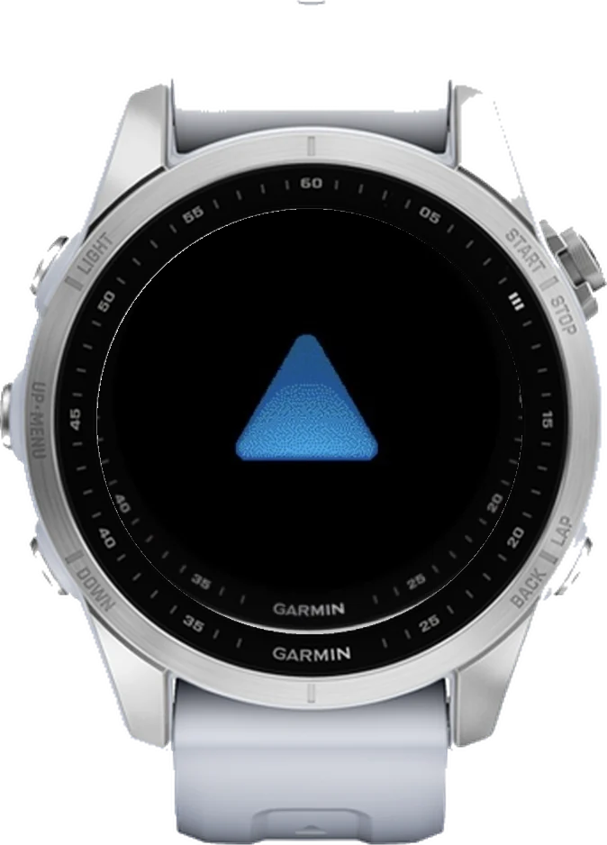 Циферблат РЕЙД на Garmin fēnix 7S 42mm